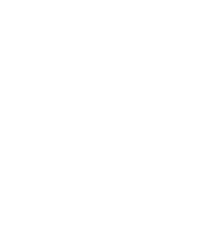 Shoekingdom