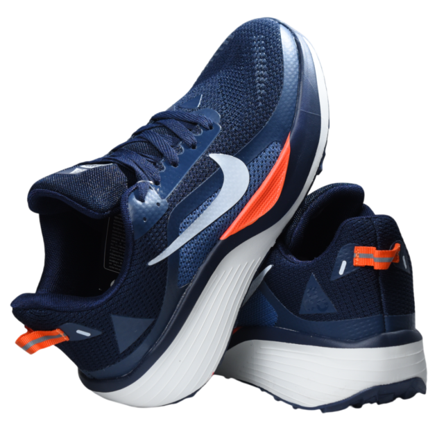 Nike Air Zoom Pegasus