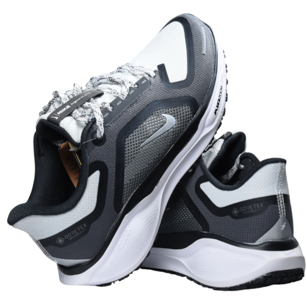 Nike Pegasus 41 Gore Tex